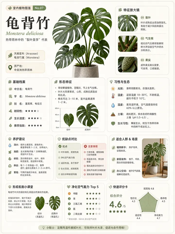海报主视觉案例 57